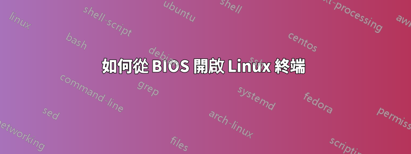 如何從 BIOS 開啟 Linux 終端