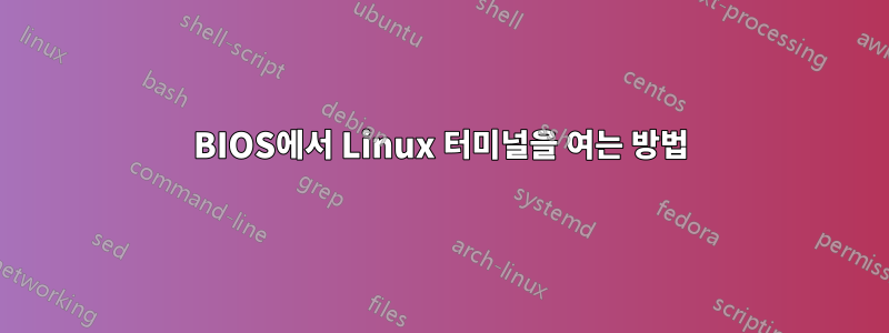 BIOS에서 Linux 터미널을 여는 방법