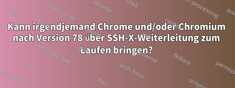 Kann irgendjemand Chrome und/oder Chromium nach Version 78 über SSH-X-Weiterleitung zum Laufen bringen?