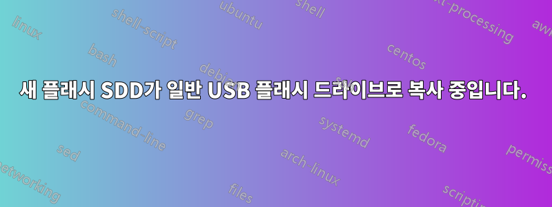 새 플래시 SDD가 일반 USB 플래시 드라이브로 복사 중입니다.