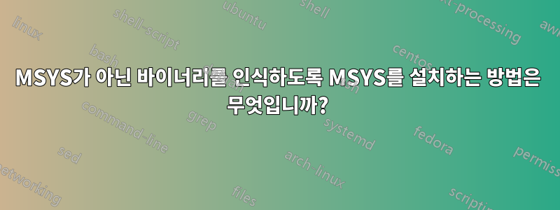 MSYS가 아닌 바이너리를 인식하도록 MSYS를 설치하는 방법은 무엇입니까?