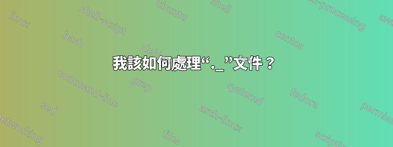 我該如何處理“._”文件？