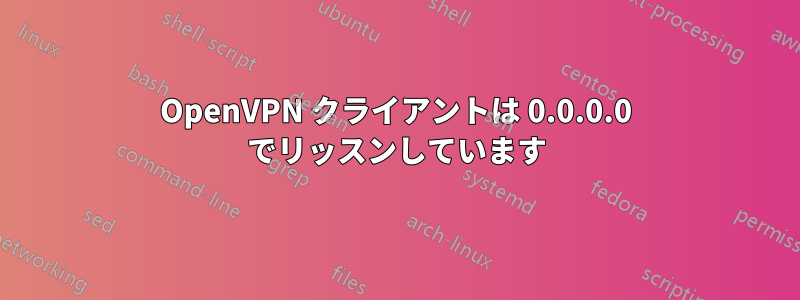 OpenVPN クライアントは 0.0.0.0 でリッスンしています