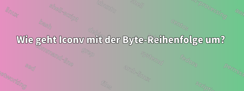 Wie geht Iconv mit der Byte-Reihenfolge um?