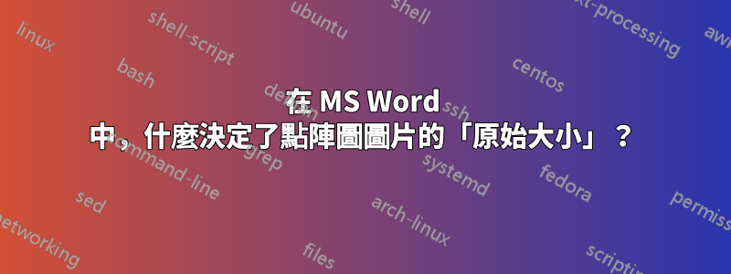 在 MS Word 中，什麼決定了點陣圖圖片的「原始大小」？