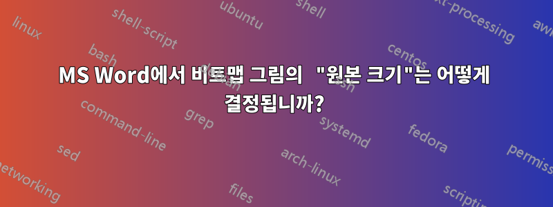 MS Word에서 비트맵 그림의 "원본 크기"는 어떻게 결정됩니까?