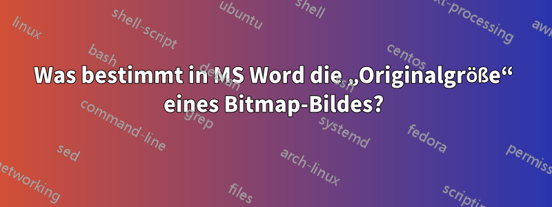 Was bestimmt in MS Word die „Originalgröße“ eines Bitmap-Bildes?