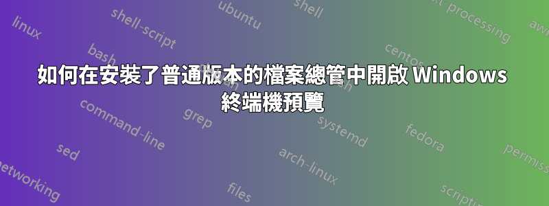 如何在安裝了普通版本的檔案總管中開啟 Windows 終端機預覽