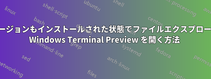 通常バージョンもインストールされた状態でファイルエクスプローラーで Windows Terminal Preview を開く方法