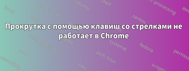 Прокрутка с помощью клавиш со стрелками не работает в Chrome