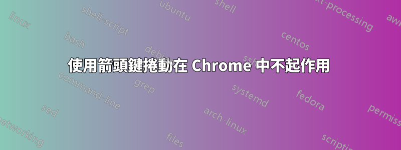 使用箭頭鍵捲動在 Chrome 中不起作用