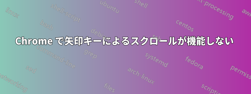 Chrome で矢印キーによるスクロールが機能しない