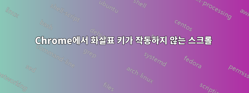 Chrome에서 화살표 키가 작동하지 않는 스크롤