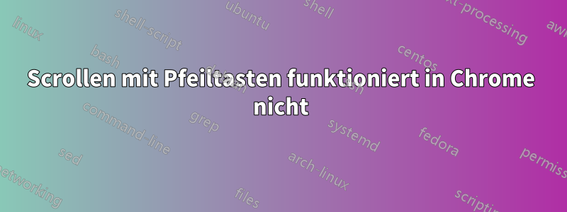 Scrollen mit Pfeiltasten funktioniert in Chrome nicht