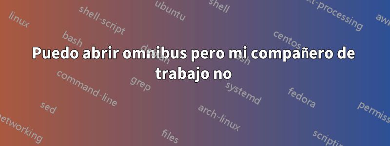 Puedo abrir omnibus pero mi compañero de trabajo no
