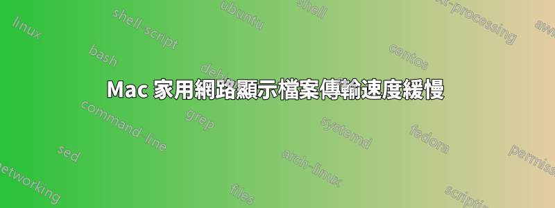 Mac 家用網路顯示檔案傳輸速度緩慢