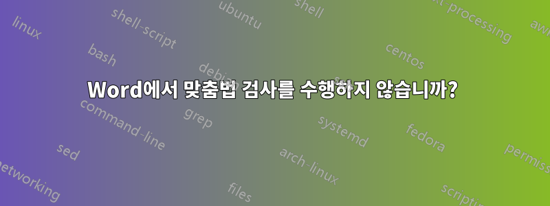 Word에서 맞춤법 검사를 수행하지 않습니까?