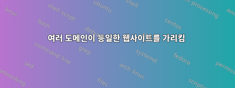 여러 도메인이 동일한 웹사이트를 가리킴