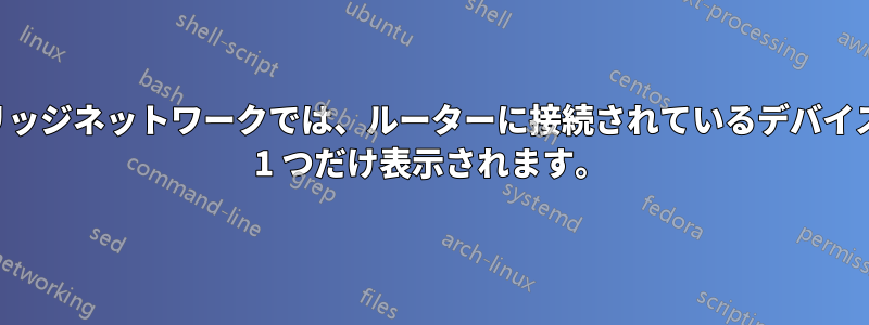 ブリッジネットワークでは、ルーターに接続されているデバイスが 1 つだけ表示されます。
