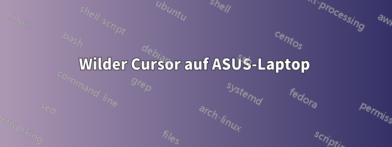 Wilder Cursor auf ASUS-Laptop
