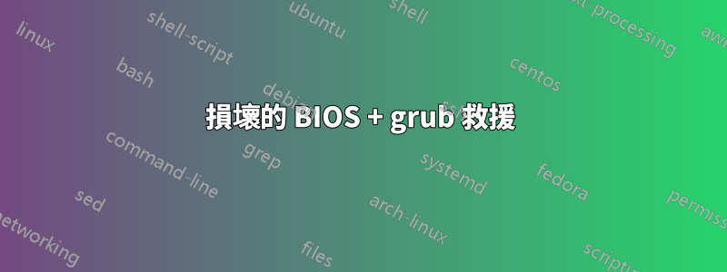 損壞的 BIOS + grub 救援