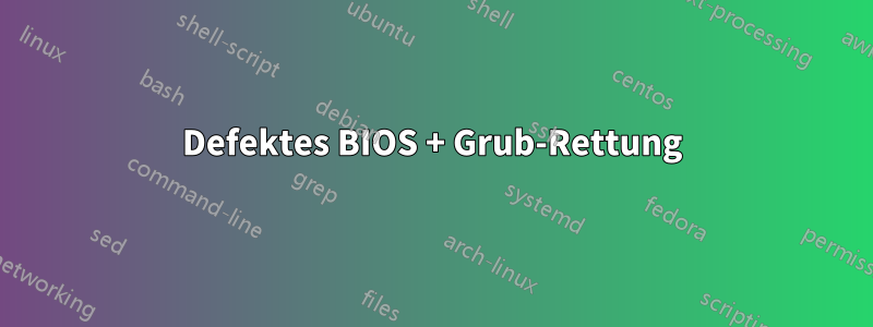Defektes BIOS + Grub-Rettung