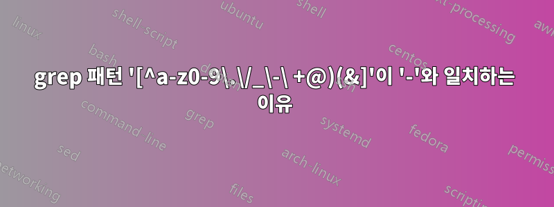 grep 패턴 '[^a-z0-9\.\/_\-\ +@)(&]'이 '-'와 일치하는 이유