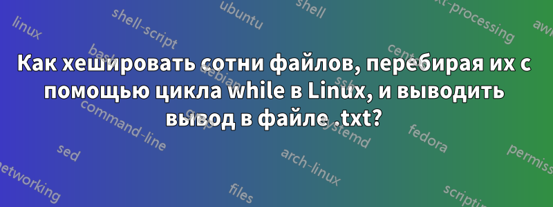 Как хешировать сотни файлов, перебирая их с помощью цикла while в Linux, и выводить вывод в файле .txt?