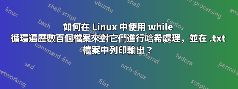 如何在 Linux 中使用 while 循環遍歷數百個檔案來對它們進行哈希處理,並在 .txt 檔案中列印輸出?