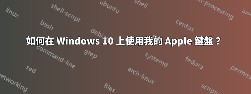如何在 Windows 10 上使用我的 Apple 鍵盤？