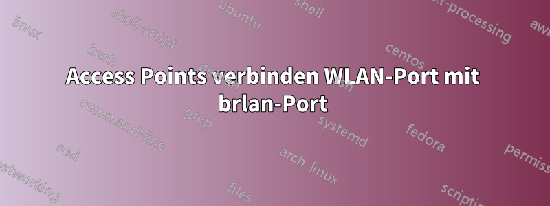 Access Points verbinden WLAN-Port mit brlan-Port
