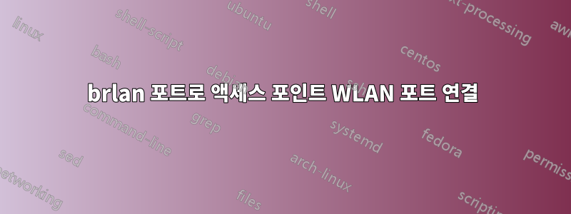 brlan 포트로 액세스 포인트 WLAN 포트 연결