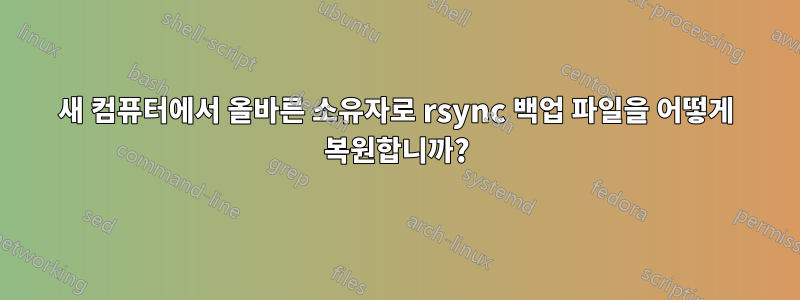 새 컴퓨터에서 올바른 소유자로 rsync 백업 파일을 어떻게 복원합니까?