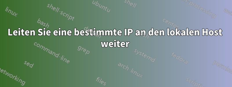 Leiten Sie eine bestimmte IP an den lokalen Host weiter