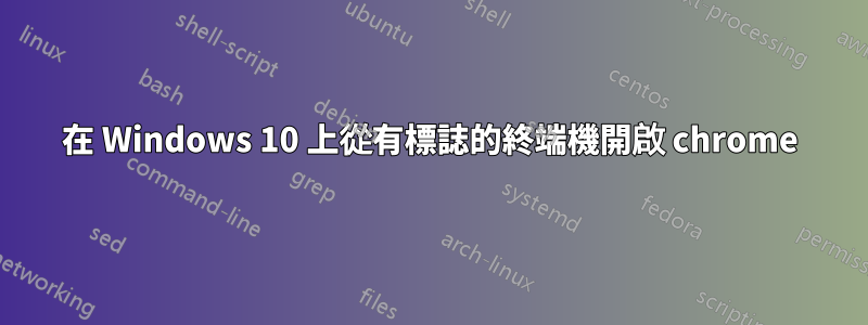 在 Windows 10 上從有標誌的終端機開啟 chrome