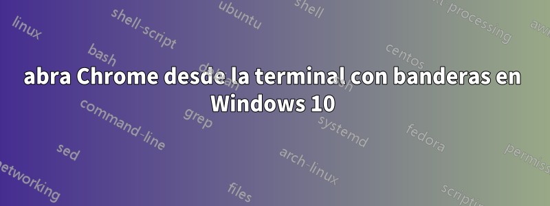 abra Chrome desde la terminal con banderas en Windows 10