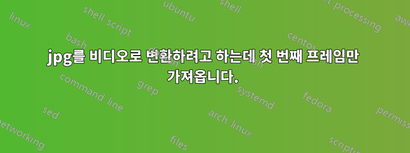 jpg를 비디오로 변환하려고 하는데 첫 번째 프레임만 가져옵니다.