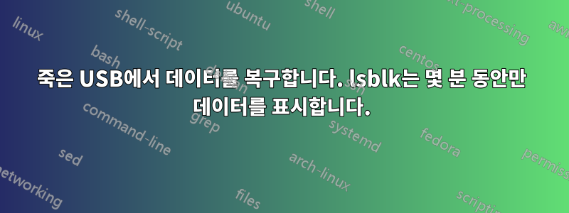 죽은 USB에서 데이터를 복구합니다. lsblk는 몇 분 동안만 데이터를 표시합니다.