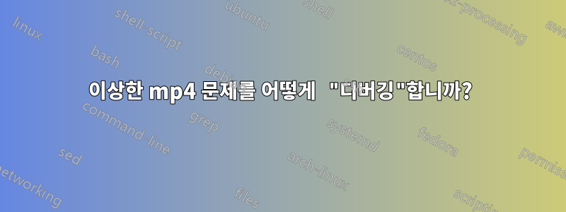 이상한 mp4 문제를 어떻게 "디버깅"합니까?