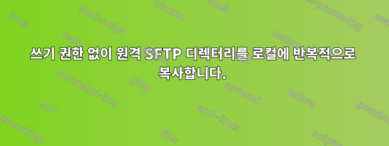 쓰기 권한 없이 원격 SFTP 디렉터리를 로컬에 반복적으로 복사합니다.