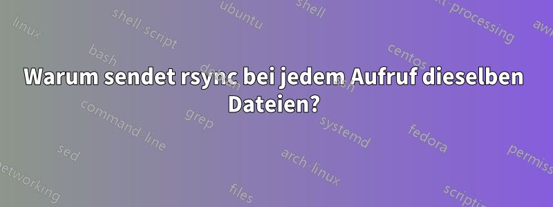 Warum sendet rsync bei jedem Aufruf dieselben Dateien?
