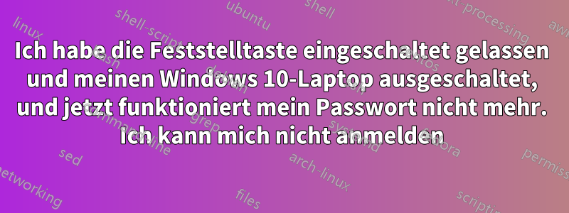 Ich habe die Feststelltaste eingeschaltet gelassen und meinen Windows 10-Laptop ausgeschaltet, und jetzt funktioniert mein Passwort nicht mehr. Ich kann mich nicht anmelden