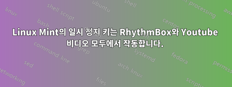 Linux Mint의 일시 정지 키는 RhythmBox와 Youtube 비디오 모두에서 작동합니다.