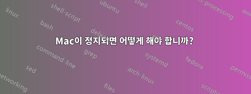 Mac이 정지되면 어떻게 해야 합니까?