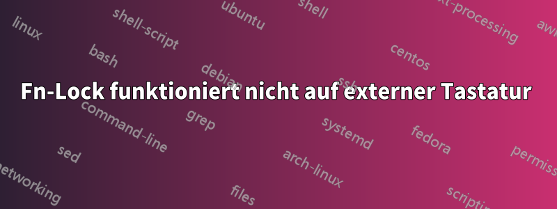 Fn-Lock funktioniert nicht auf externer Tastatur