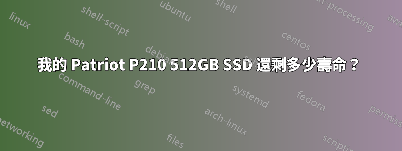 我的 Patriot P210 512GB SSD 還剩多少壽命？