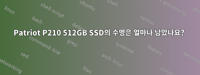 Patriot P210 512GB SSD의 수명은 얼마나 남았나요?