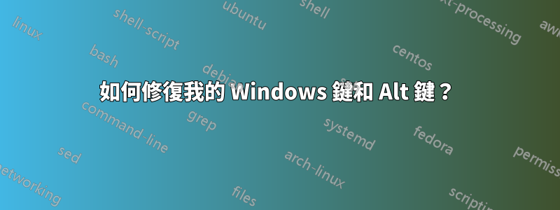 如何修復我的 Windows 鍵和 Alt 鍵？