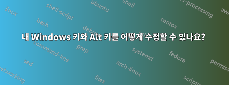 내 Windows 키와 Alt 키를 어떻게 수정할 수 있나요?