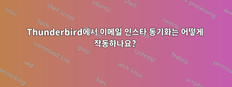 Thunderbird에서 이메일 인스타 동기화는 어떻게 작동하나요?